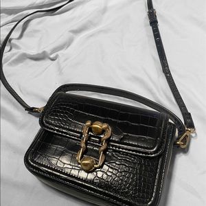 Zara Crossbody Bag w/ Gold Snake Buckle Hardware